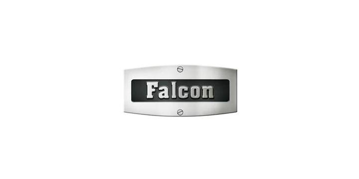 Falcon logo